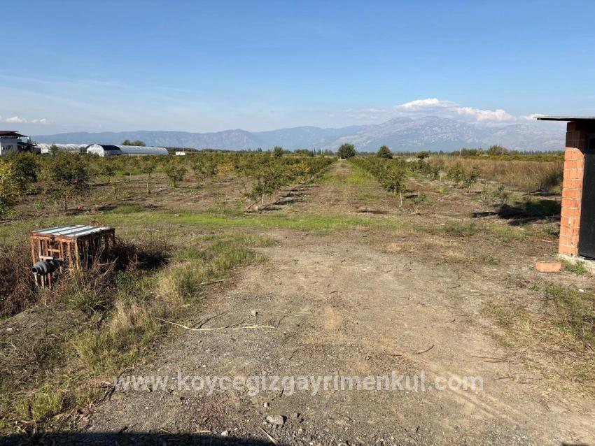 Feld Zu Verkaufen in Eskiköy Bz. Ortaca - Feld-Zonierung - 21.500 m²