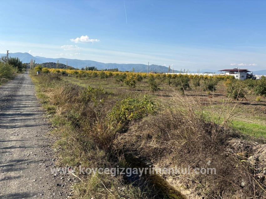 Feld Zu Verkaufen in Eskiköy Bz. Ortaca - Feld-Zonierung - 21.500 m²