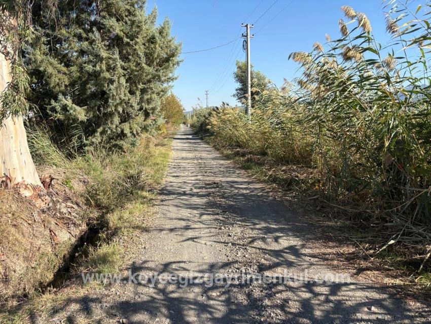 Feld Zu Verkaufen in Eskiköy Bz. Ortaca - Feld-Zonierung - 21.500 m²