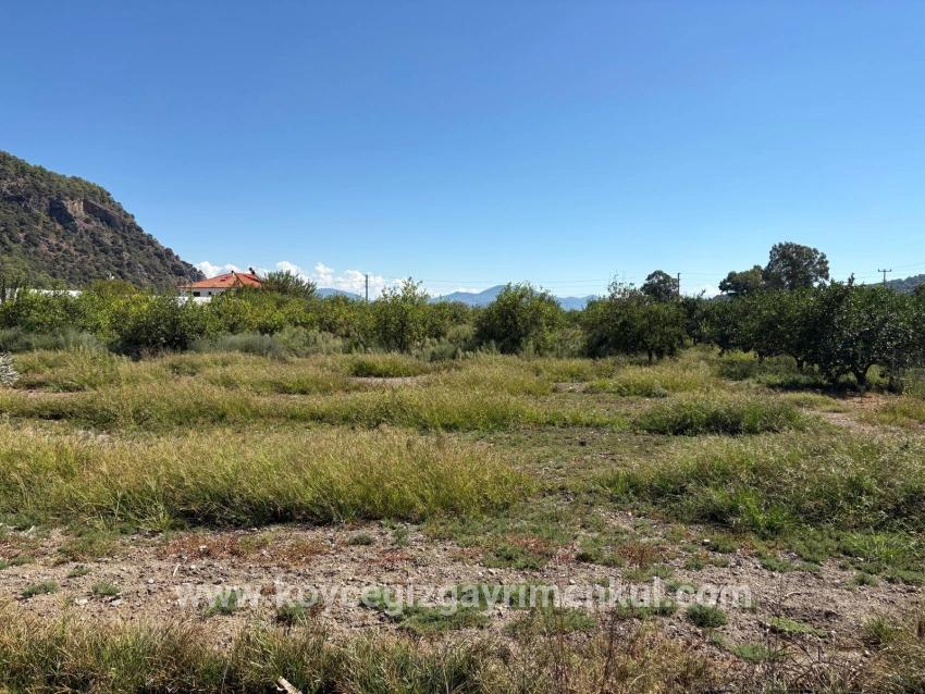 Land Zu Verkaufen in Mergenli Bz. Ortaca - Gehäuse-Zonierung - 998 m²