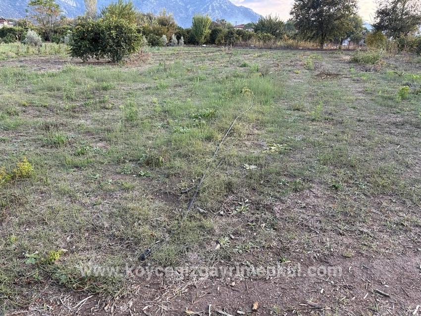 Land Zu Verkaufen in Dalyan Bz. Ortaca - Gehäuse-Zonierung - 7.450 m²