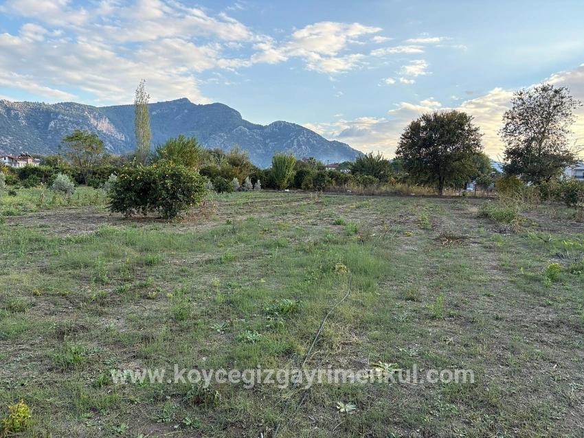 Land Zu Verkaufen in Dalyan Bz. Ortaca - Gehäuse-Zonierung - 7.450 m²