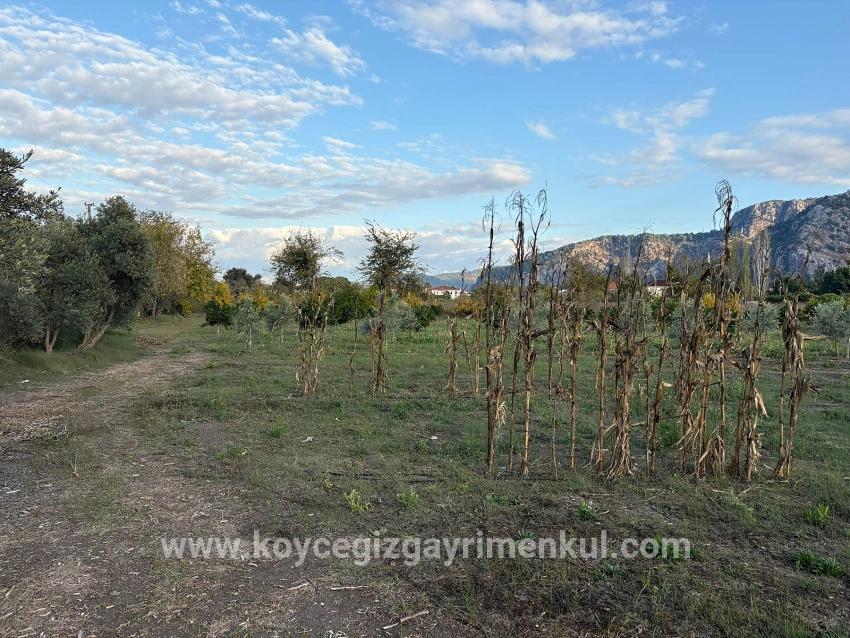 Land Zu Verkaufen in Dalyan Bz. Ortaca - Gehäuse-Zonierung - 7.450 m²
