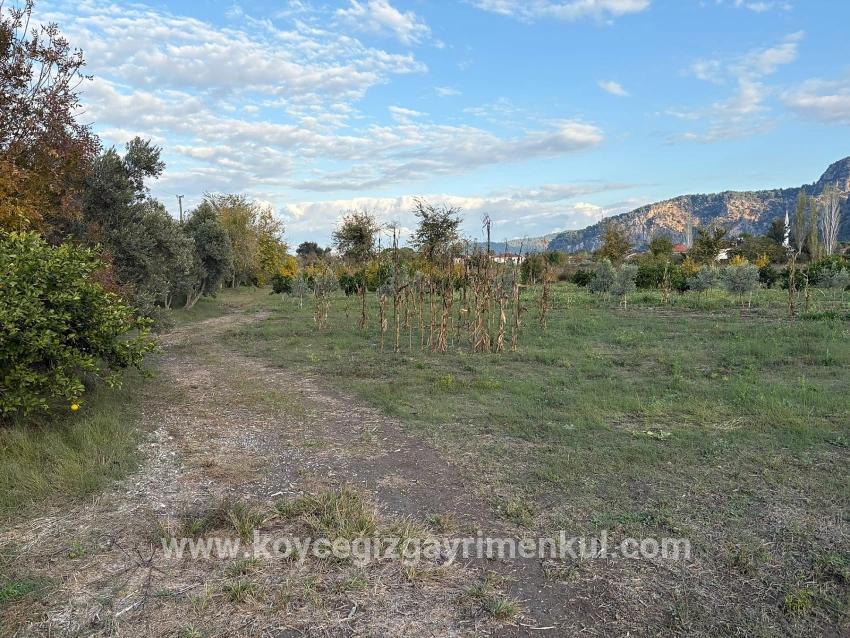 Land Zu Verkaufen in Dalyan Bz. Ortaca - Gehäuse-Zonierung - 7.450 m²