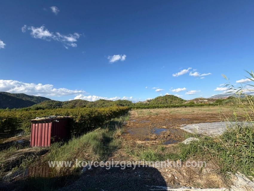 Land Zu Verkaufen in Yeşilyurt Bz. Ortaca - Gehäuse-Zonierung - 3.999 m²