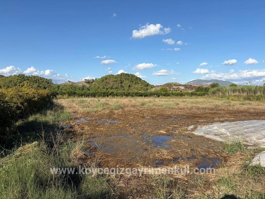 Land Zu Verkaufen in Yeşilyurt Bz. Ortaca - Gehäuse-Zonierung - 3.999 m²