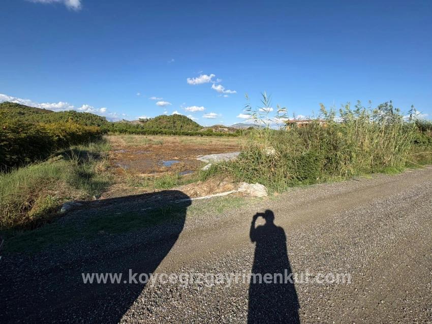 Land Zu Verkaufen in Yeşilyurt Bz. Ortaca - Gehäuse-Zonierung - 3.999 m²