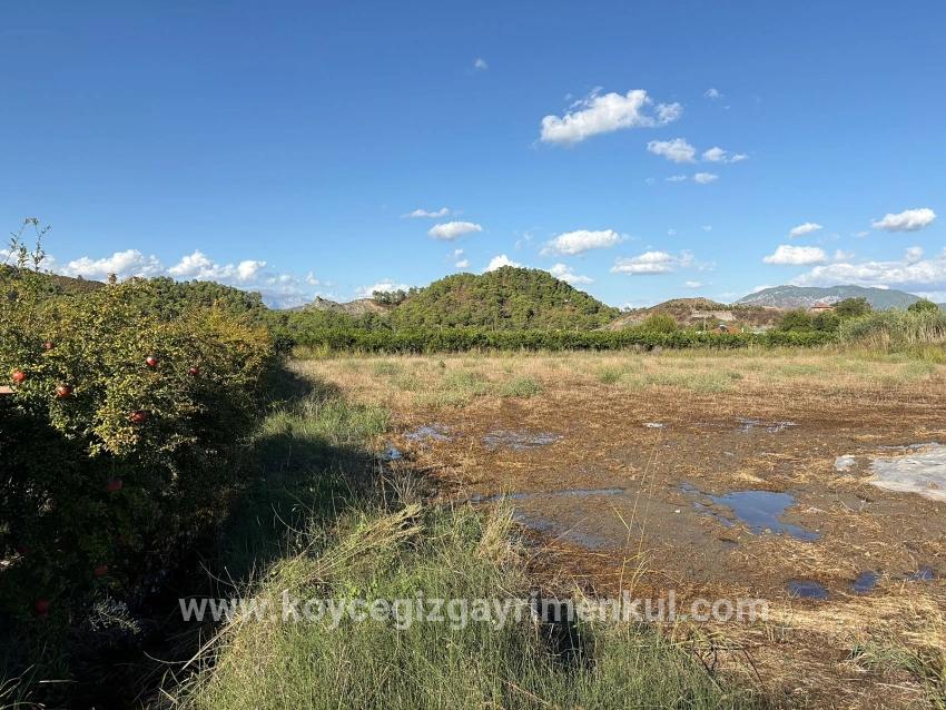 Land Zu Verkaufen in Yeşilyurt Bz. Ortaca - Gehäuse-Zonierung - 3.999 m²