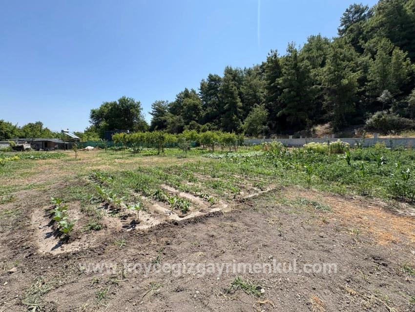 2+1-Zimmer Einfamilienhaus Zu Verkaufen in Dalyan Bz. Ortaca - 2.500 m²