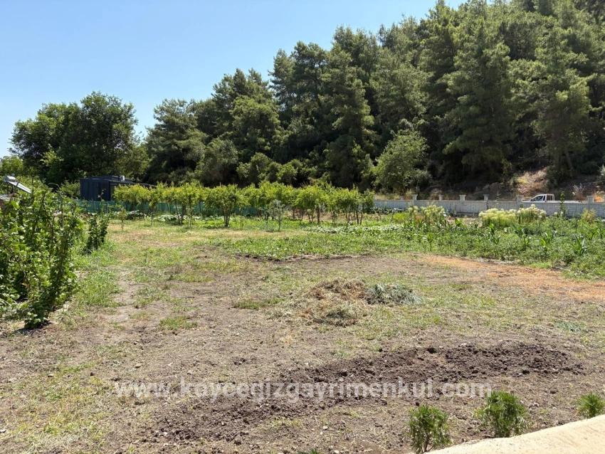 2+1-Zimmer Einfamilienhaus Zu Verkaufen in Dalyan Bz. Ortaca - 2.500 m²