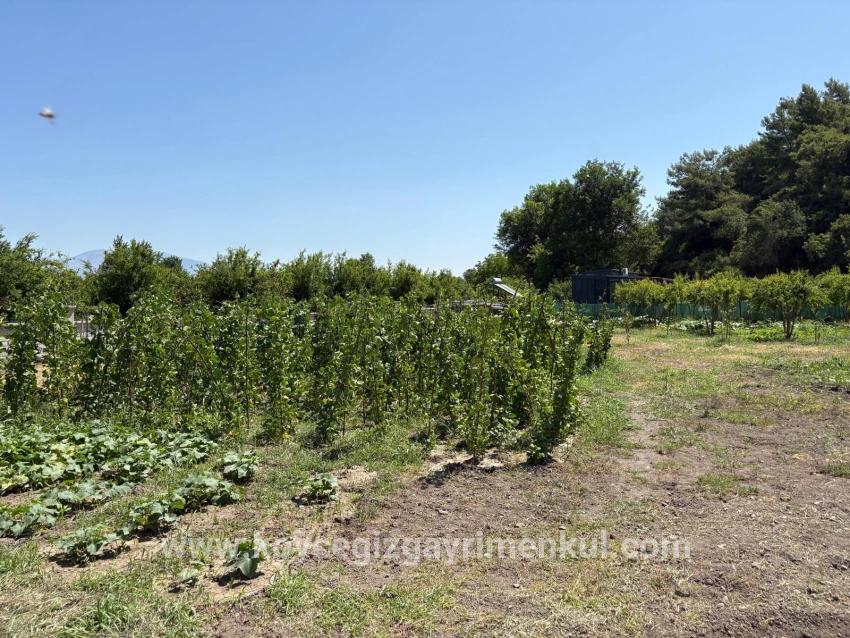 2+1-Zimmer Einfamilienhaus Zu Verkaufen in Dalyan Bz. Ortaca - 2.500 m²