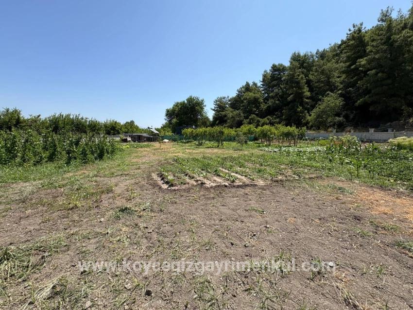 2+1-Zimmer Einfamilienhaus Zu Verkaufen in Dalyan Bz. Ortaca - 2.500 m²