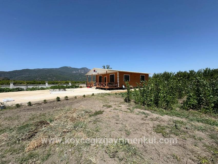 2+1-Zimmer Einfamilienhaus Zu Verkaufen in Dalyan Bz. Ortaca - 2.500 m²