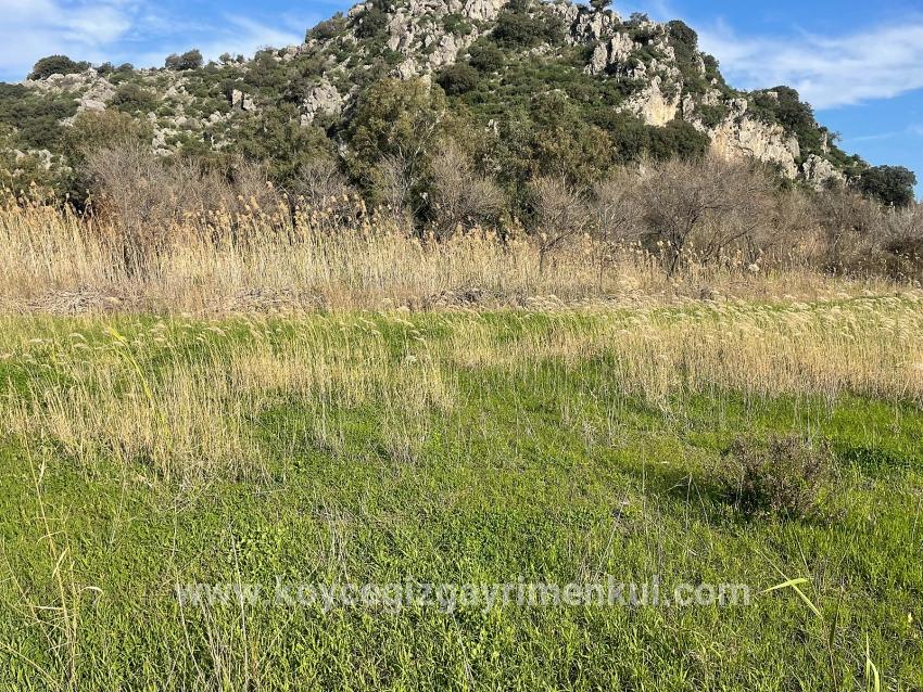 Land Zu Verkaufen in Dalyan Bz. Ortaca - Gehäuse-Zonierung - 6.800 m²