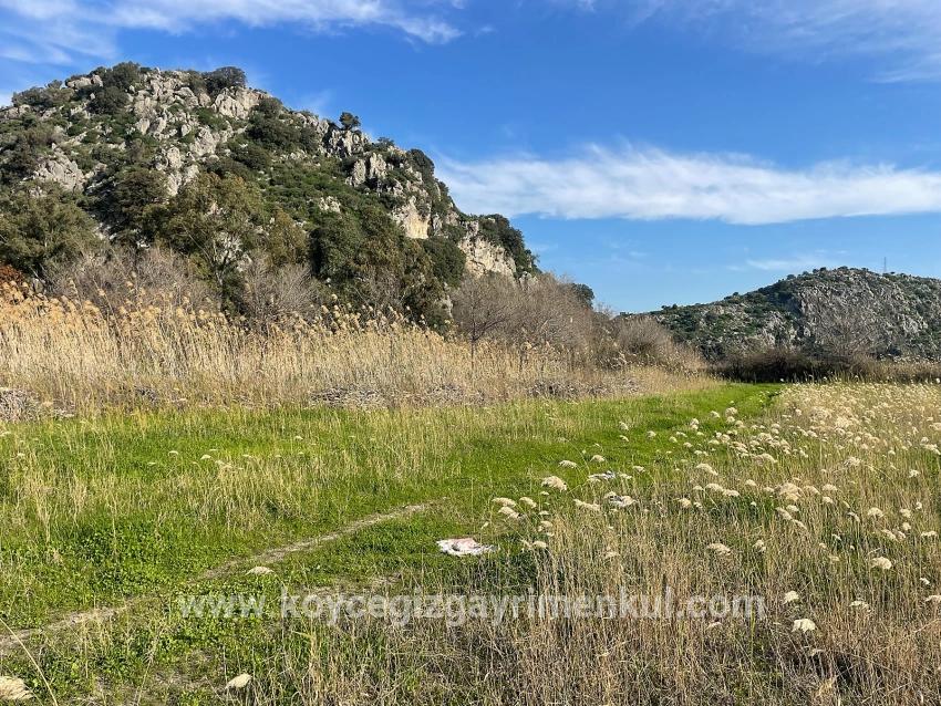 Land Zu Verkaufen in Dalyan Bz. Ortaca - Gehäuse-Zonierung - 6.800 m²