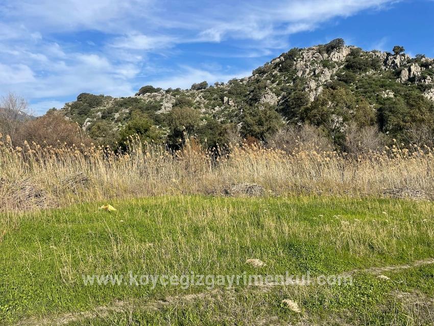 Land Zu Verkaufen in Dalyan Bz. Ortaca - Gehäuse-Zonierung - 6.800 m²