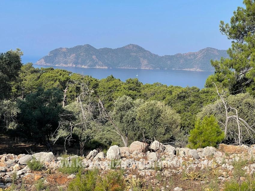 Feld Zu Verkaufen in Çandır Bz. Köyceğiz - Gehäuse-Zonierung - 10.481 m²