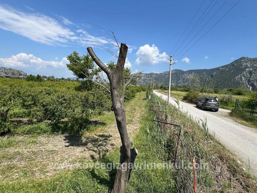 Land Zu Verkaufen in Dalyan Bz. Ortaca - Gehäuse-Zonierung - 5.100 m²