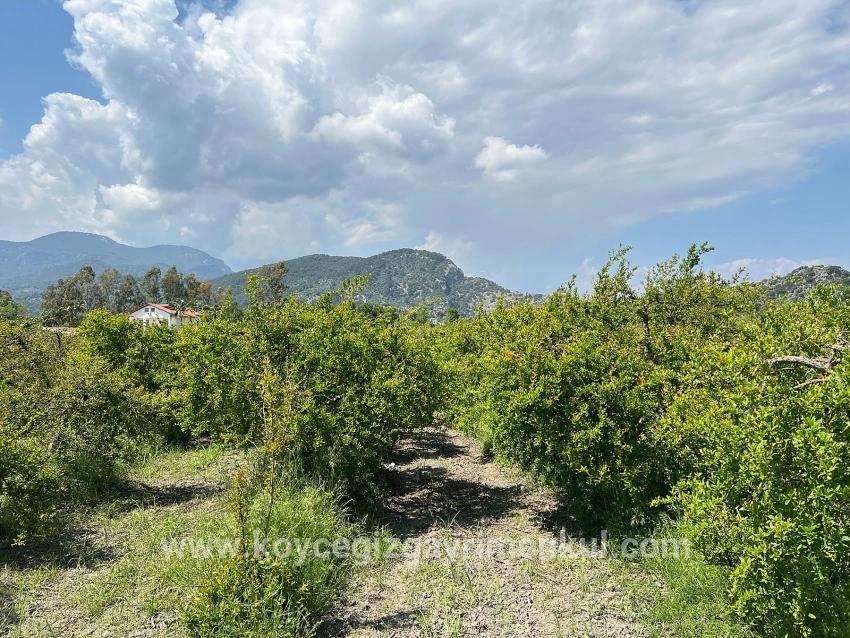 Land Zu Verkaufen in Dalyan Bz. Ortaca - Gehäuse-Zonierung - 5.100 m²