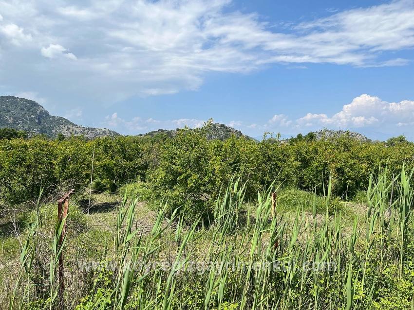 Land Zu Verkaufen in Dalyan Bz. Ortaca - Gehäuse-Zonierung - 5.100 m²