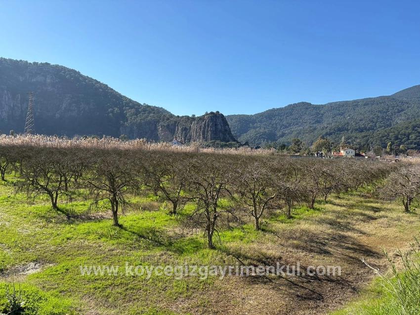 Land Zu Verkaufen in Dalyan Bz. Ortaca - Gehäuse-Zonierung - 5.985 m²