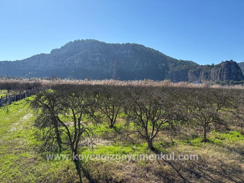 Land Zu Verkaufen in Dalyan Bz. Ortaca - Gehäuse-Zonierung - 5.985 m²