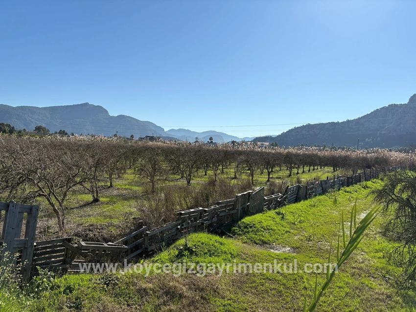 Land Zu Verkaufen in Dalyan Bz. Ortaca - Gehäuse-Zonierung - 5.985 m²