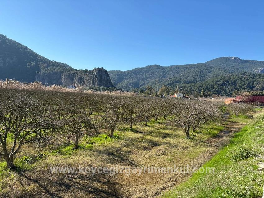 Land Zu Verkaufen in Dalyan Bz. Ortaca - Gehäuse-Zonierung - 5.985 m²