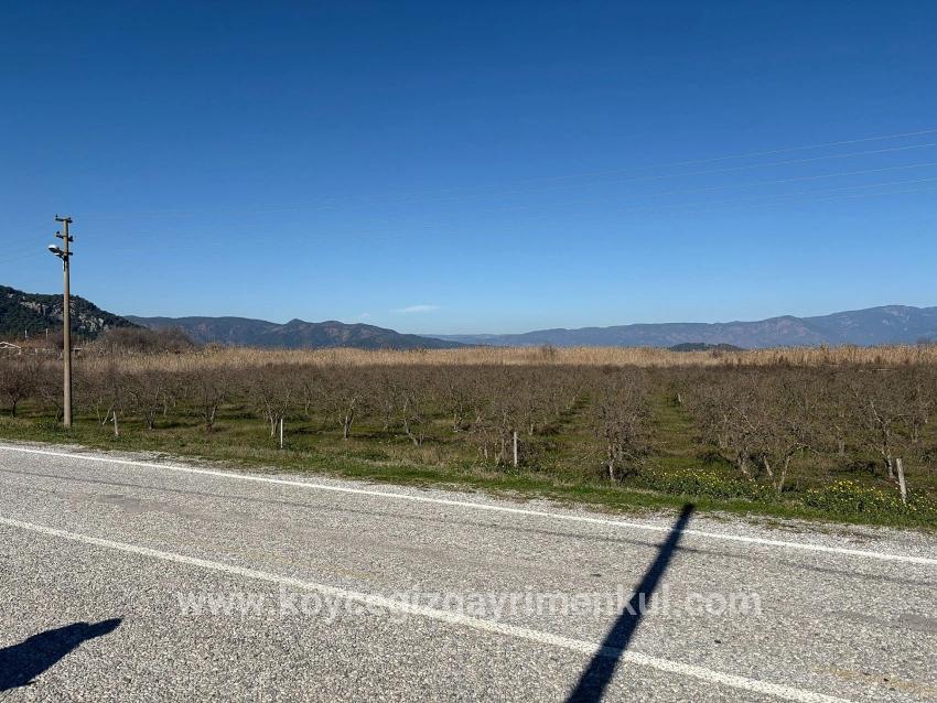 Land Zu Verkaufen in Dalyan Bz. Ortaca - Gehäuse-Zonierung - 5.985 m²