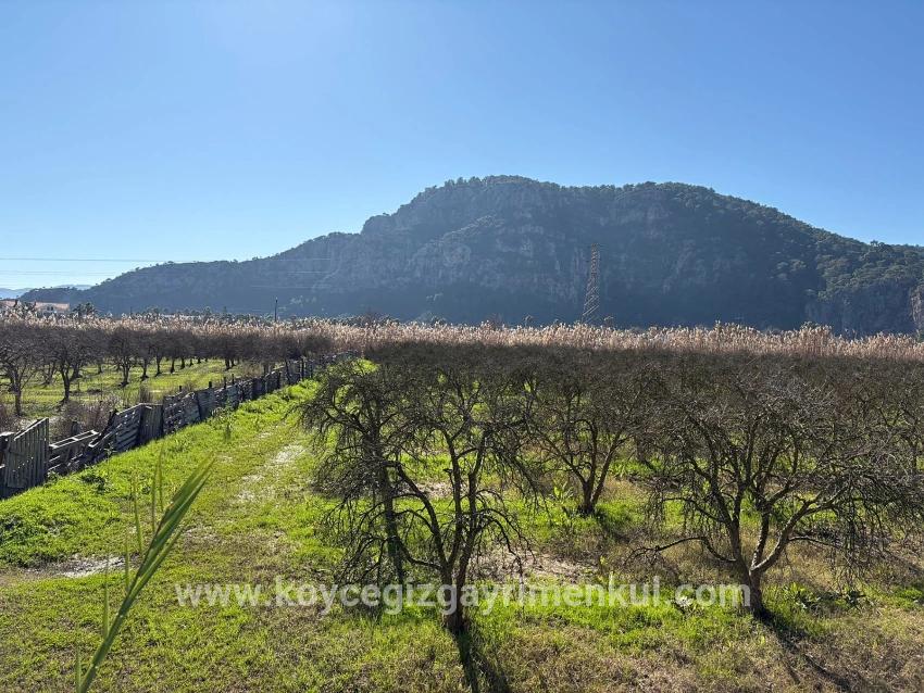Land Zu Verkaufen in Dalyan Bz. Ortaca - Gehäuse-Zonierung - 5.985 m²