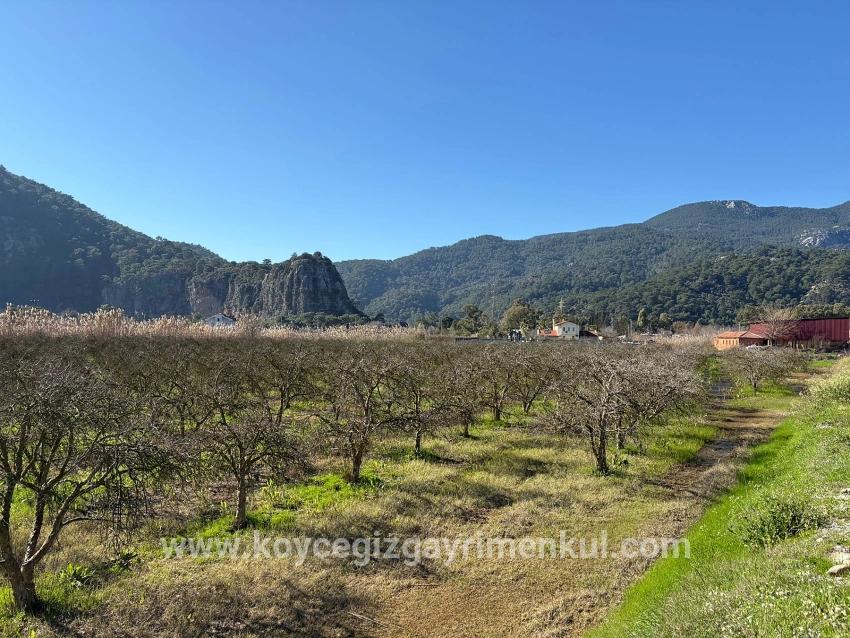 Land Zu Verkaufen in Dalyan Bz. Ortaca - Gehäuse-Zonierung - 5.985 m²