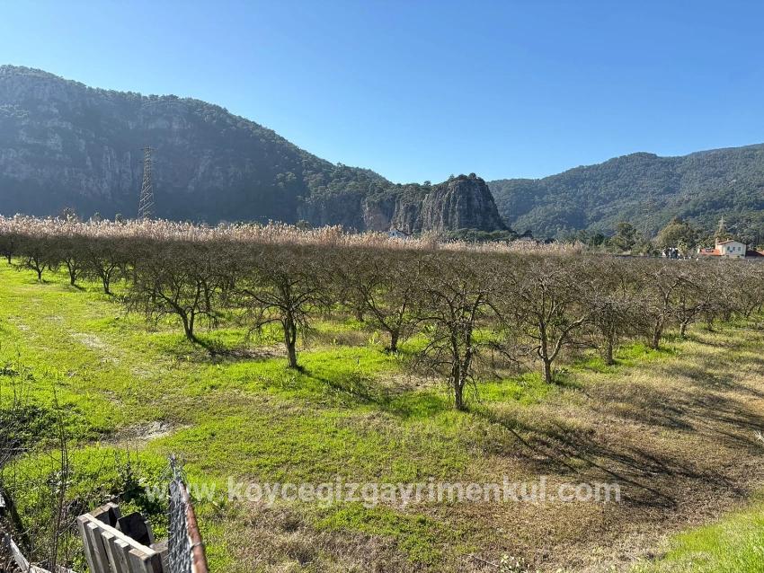 Land Zu Verkaufen in Dalyan Bz. Ortaca - Gehäuse-Zonierung - 5.985 m²