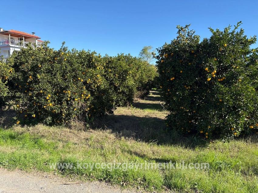 Land Zu Verkaufen in Ekşiliyurt Bz. Ortaca - Gehäuse-Zonierung - 1.085 m²