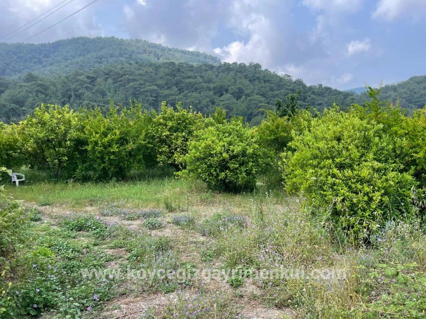 Feld Zu Verkaufen in Gökbel Bz. Ortaca - Gehäuse-Zonierung - 7.800 m²