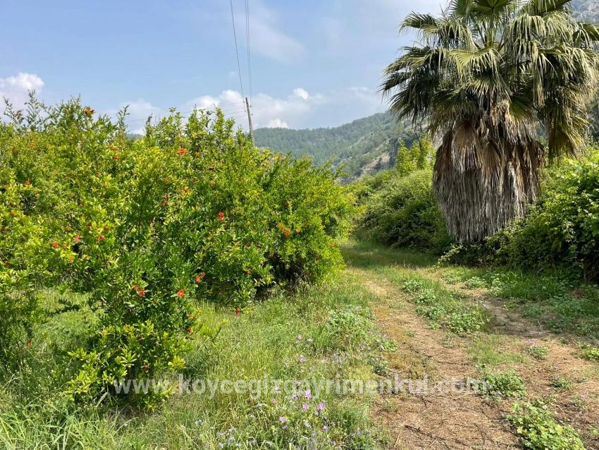 Feld Zu Verkaufen in Gökbel Bz. Ortaca - Gehäuse-Zonierung - 7.800 m²