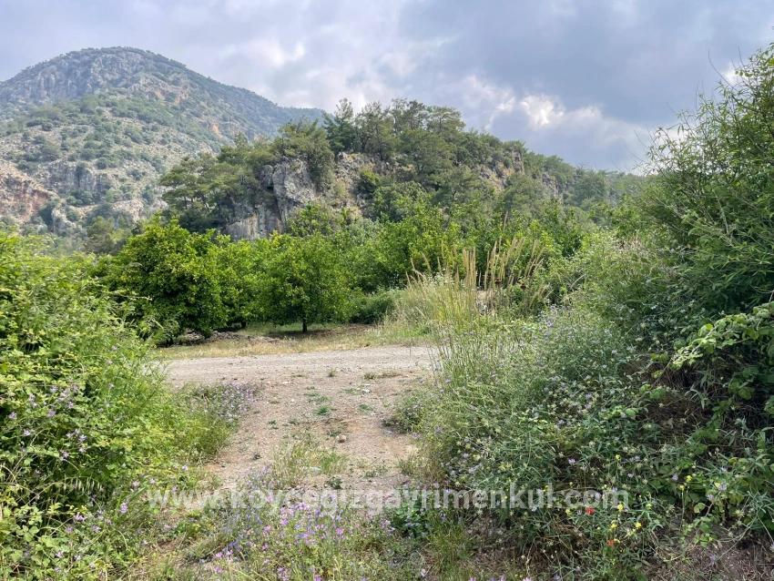 Feld Zu Verkaufen in Gökbel Bz. Ortaca - Gehäuse-Zonierung - 7.800 m²