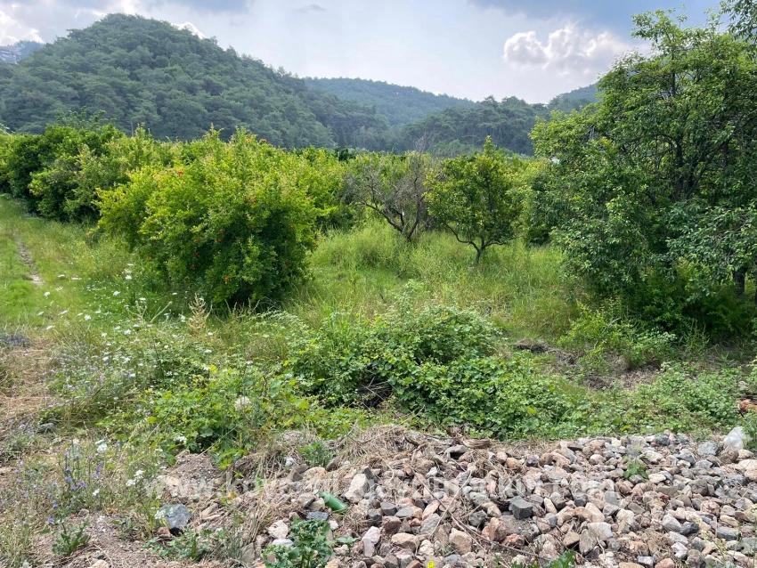 Feld Zu Verkaufen in Gökbel Bz. Ortaca - Gehäuse-Zonierung - 7.800 m²
