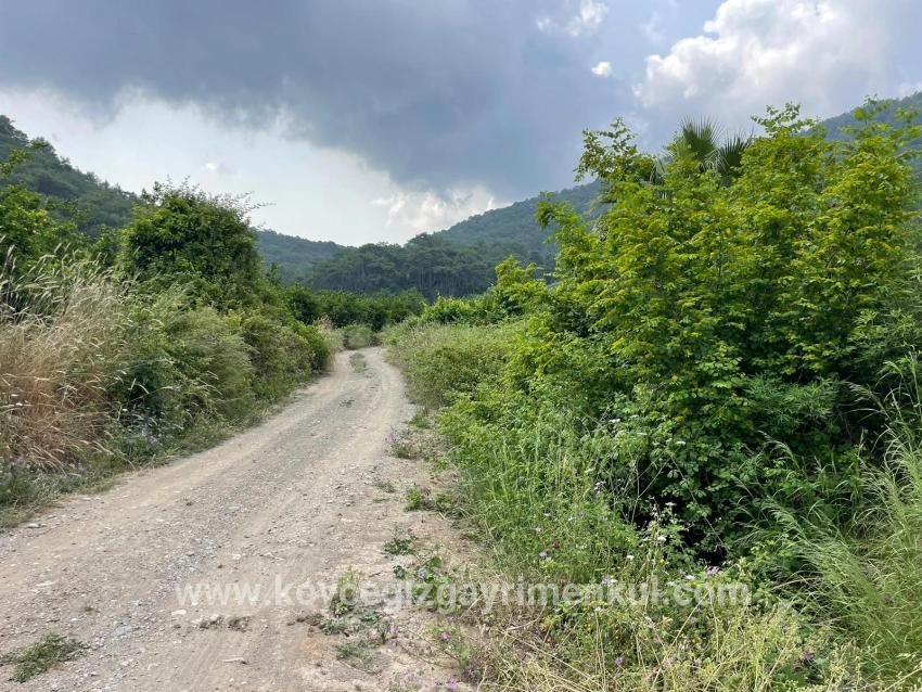 Feld Zu Verkaufen in Gökbel Bz. Ortaca - Gehäuse-Zonierung - 7.800 m²