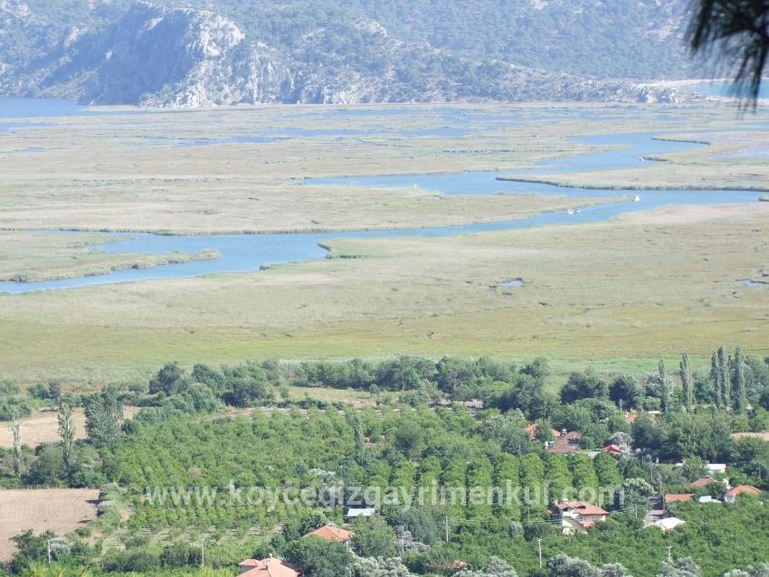 Feld Zu Verkaufen in Çandır Bz. Köyceğiz - Feld-Zonierung - 19.334 m²