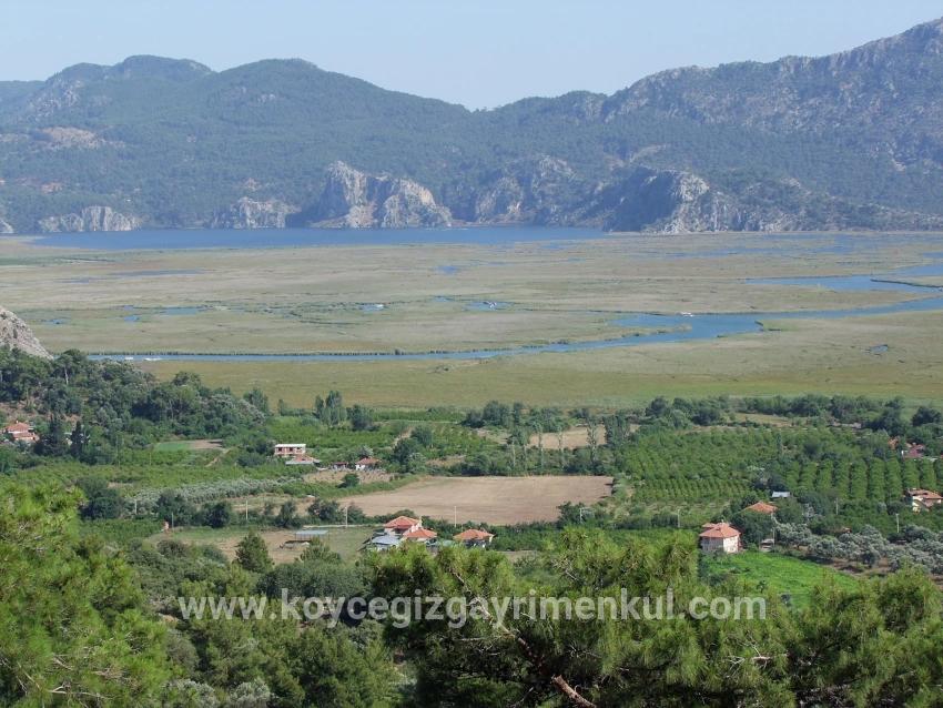 Feld Zu Verkaufen in Çandır Bz. Köyceğiz - Feld-Zonierung - 19.334 m²
