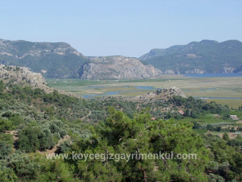 Feld Zu Verkaufen in Çandır Bz. Köyceğiz - Feld-Zonierung - 19.334 m²
