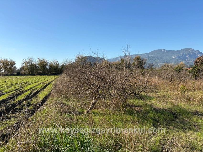 Feld Zu Verkaufen in Dalyan Bz. Ortaca - Feld-Zonierung - 4.541 m²