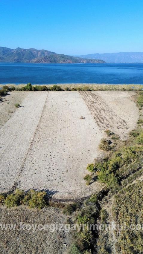 Feld Zu Verkaufen in Sultaniye Bz. Köyceğiz - Feld-Zonierung - 3.210 m²