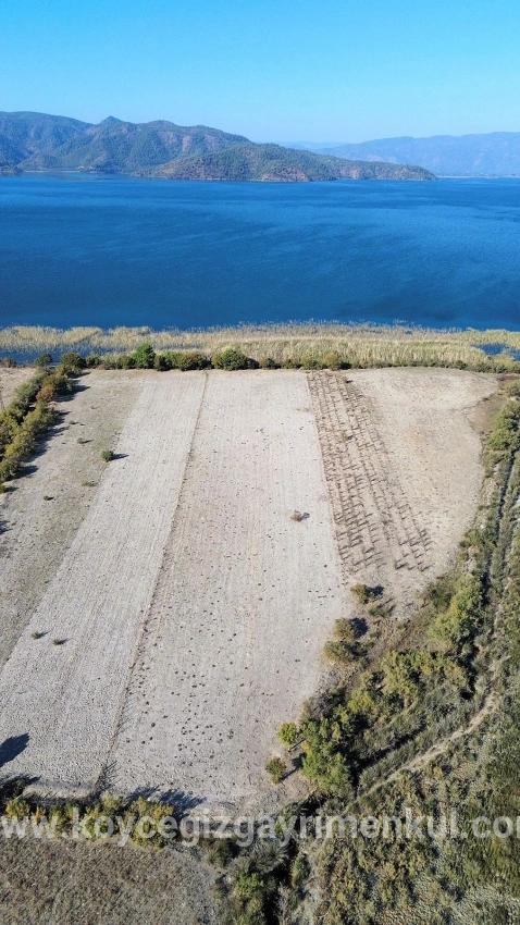Feld Zu Verkaufen in Sultaniye Bz. Köyceğiz - Feld-Zonierung - 3.210 m²