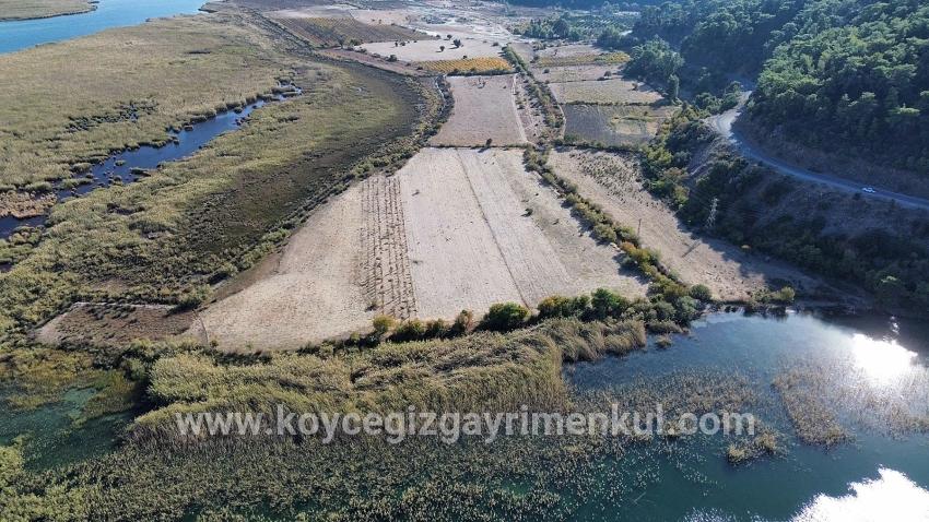Feld Zu Verkaufen in Sultaniye Bz. Köyceğiz - Feld-Zonierung - 3.210 m²