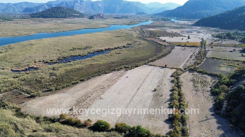 Feld Zu Verkaufen in Sultaniye Bz. Köyceğiz - Feld-Zonierung - 3.210 m²