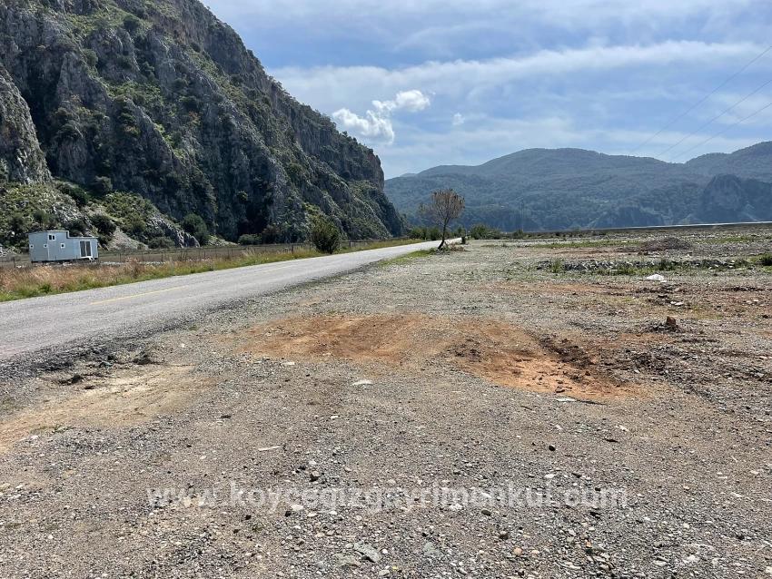Feld Zu Verkaufen in Dalyan Bz. Ortaca - Gehäuse-Zonierung - 19.600 m²