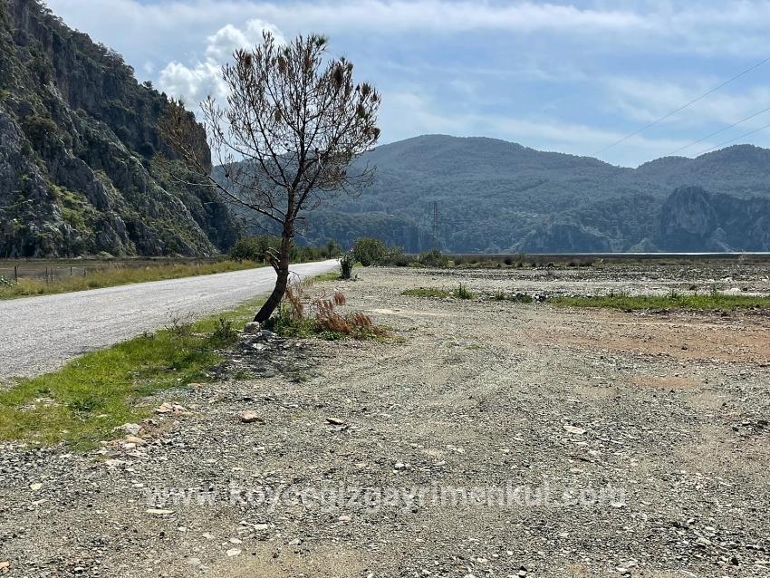 Feld Zu Verkaufen in Dalyan Bz. Ortaca - Gehäuse-Zonierung - 19.600 m²