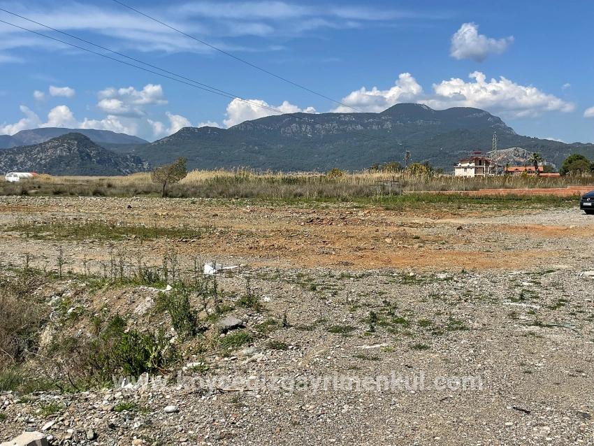 Feld Zu Verkaufen in Dalyan Bz. Ortaca - Gehäuse-Zonierung - 19.600 m²