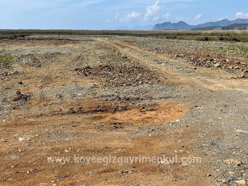 Feld Zu Verkaufen in Dalyan Bz. Ortaca - Gehäuse-Zonierung - 19.600 m²